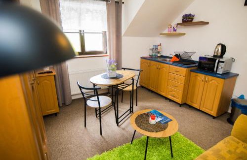 Nekor Apartamento | Centrum Pastvinská přehrada