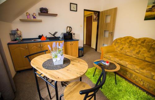 Nekor Apartamento | Centrum Pastvinská přehrada