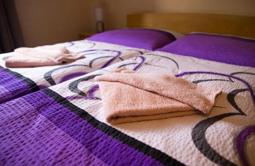 Nekor Apartamento | Centrum Pastvinská přehrada