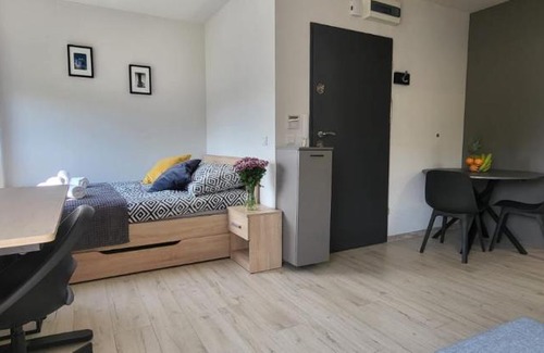 Srodmiescie Apartamento | Centrum Prusa STUDIO 210
