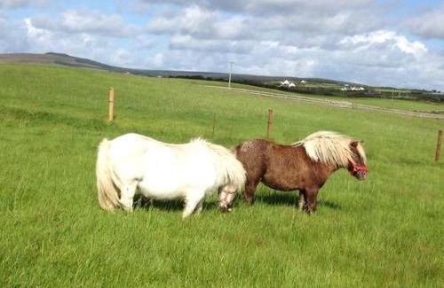 Doolin Casa | Ceol na dTonnta