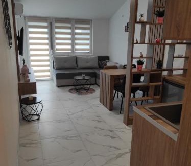 Soko Banja Apartamento | Cera exclusive apartment