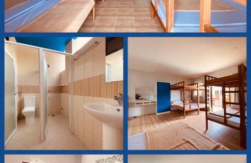 Lobo Complejo | Cerca Parola Beach Resort