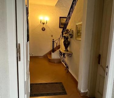Paysandu Apartamento | cerrito 790