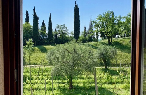 Toscolano Maderno Apartamento | Cervano: Campo Apartamento para 4 personas, extensible 5