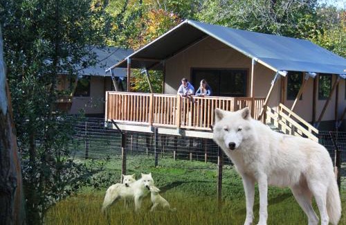 Hermival-les-Vaux Otro | Cerza Safari Lodge
