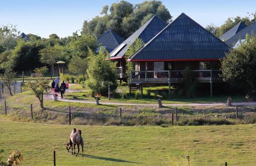 Hermival-les-Vaux Otro | Cerza Safari Lodge