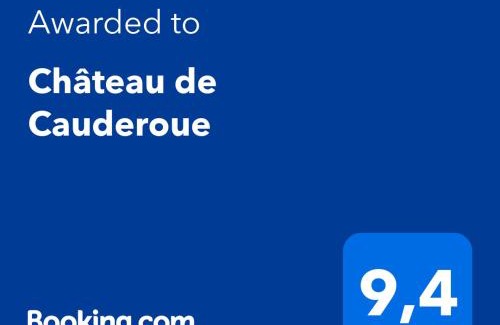 Nerac Cama Y Desayuno | Château de Cauderoue