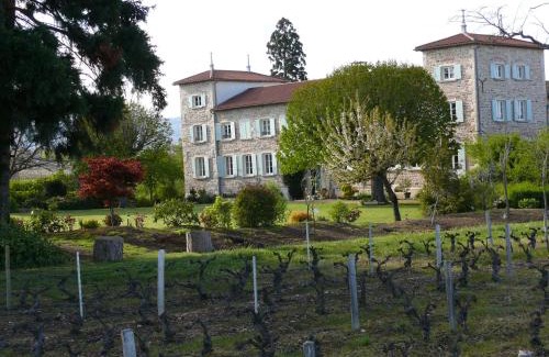 Blace Cama Y Desayuno | Château de Grandmont Chambres d'hôtes