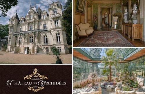 Saint-Hilaire-Saint-Florent Cama Y Desayuno | Château des Orchidées en Val de Loire