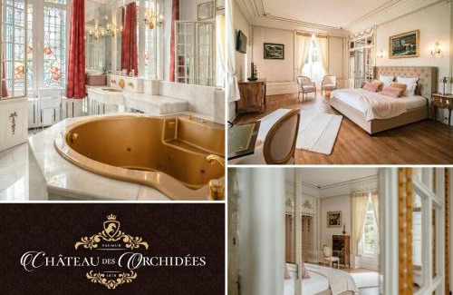 Saint-Hilaire-Saint-Florent Cama Y Desayuno | Château des Orchidées en Val de Loire