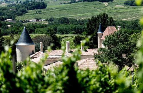 Saint-Andre-du-Bois Cama Y Desayuno | Château Toulouse-Lautrec