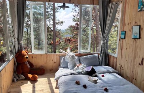 Da Lat Casa | Chốn Nhỏ Homestay Đà Lạt