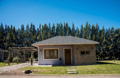 Carlos Reyles Casa | Chacra Los Arándanos