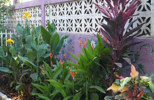 Managua Casa | Chakana Yoga Homestay