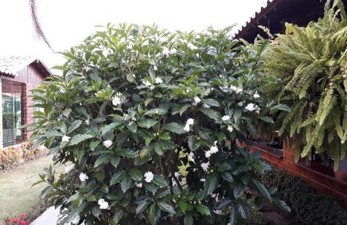 Novo Gravata Casa | Chalé aconchegante na Serra Pernambucana - Em condomínio - Gravatá