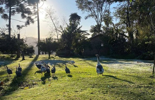 Gramado Chalet De Esquí | Chalé com Fácil Localização , Para Casais Apaixonados e Para Família