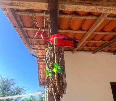 Barra Grande Chalet De Esquí | Chalé Guará - Barra Grande- PI