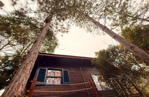 Camboriu Chalet De Esquí | Chalé Matas de Camboriú