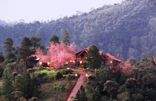 Delfim Moreira Chalet De Esquí | Chalé Merlot