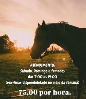 Corrego do Bom Jesus Casa | Chalé Mirante da Colina 10 com hidro privativa, café da manhã e piscina