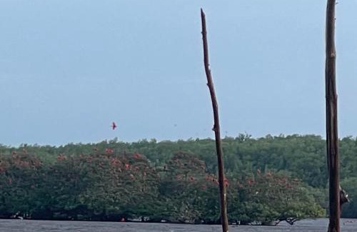 Santo Amaro do Maranhao Casa | Chalé Murici Lençóis