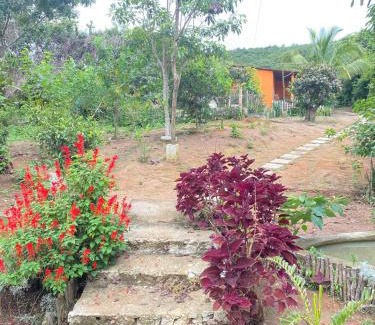 Meruoca Cabina | Chalé refúgio das raposas