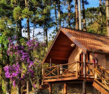 Sao Bento do Sapucai Cabina | Chalés Araucária e Manacá