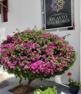 Monte das Gameleiras Casa | Chalés Recanto das Flores RN