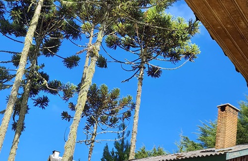 Campos do Jordao Chalet De Esquí | Chalés Valle do Sol