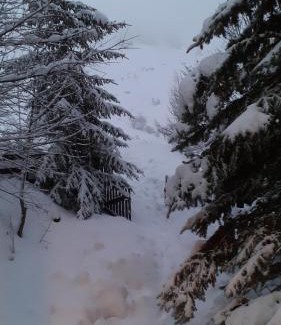 Orcieres-Merlette Chalet De Esquí | chalet à Orcieres merlette pour 10