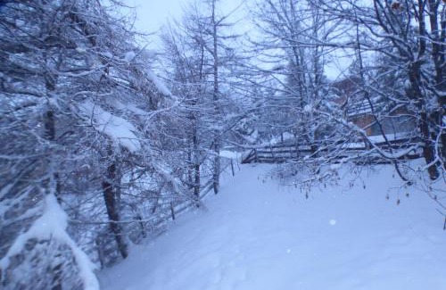 Orcieres-Merlette Chalet De Esquí | chalet à Orcieres merlette pour 10