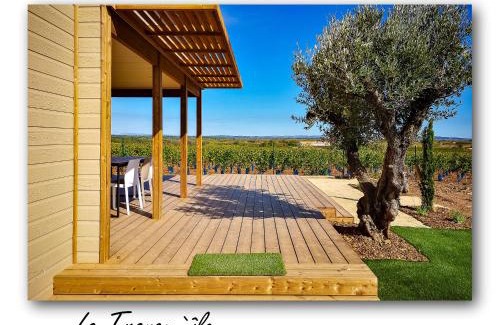 Pomerols Chalet De Esquí | Chalet 2 Chb Confort avec Piscine Chauffée, Proche Mer et Activités à Pomérols - FR-1-783-9