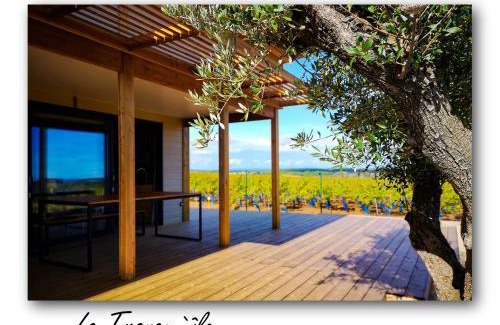 Pomerols Chalet De Esquí | Chalet 2 Chb Confort avec Piscine Chauffée, Proche Mer et Activités à Pomérols - FR-1-783-9