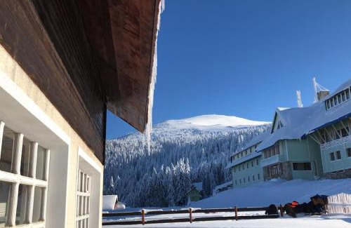 Petrosani Chalet De Esquí | Chalet Alpina66