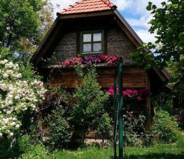 Uzice Chalet De Esquí | Chalet Belino sokače
