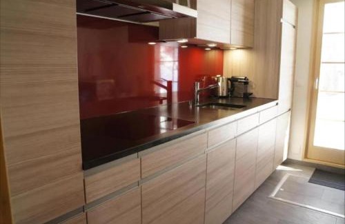 Ernen Apartamento | Chalet Berken