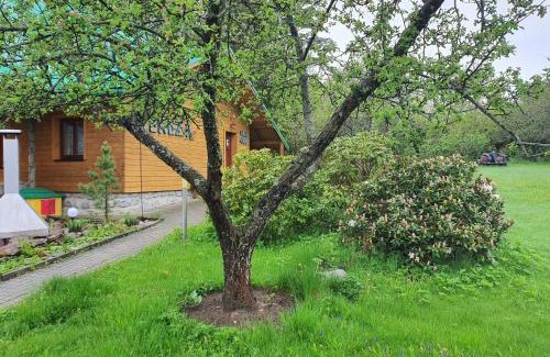 Stara Lesna Chalet De Esquí | Chalet Chata Tereza by Interhome