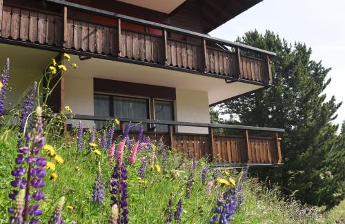Arosa Apartamento | Chalet Christina 7