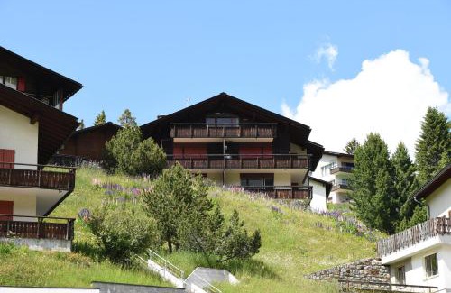 Arosa Apartamento | Chalet Christina 7