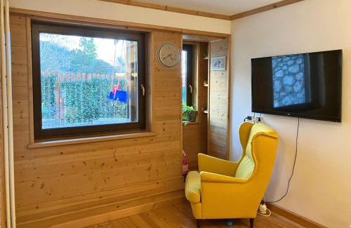 San Martino di Castrozza Apartamento | Chalet Erika: che vista!
