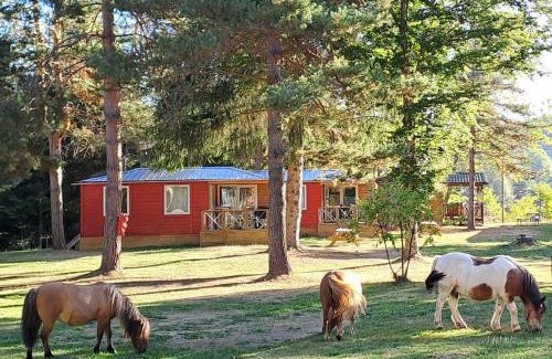 Camurac Otro | Chalet et mobil homes dans la montagne au Camping les Sapins