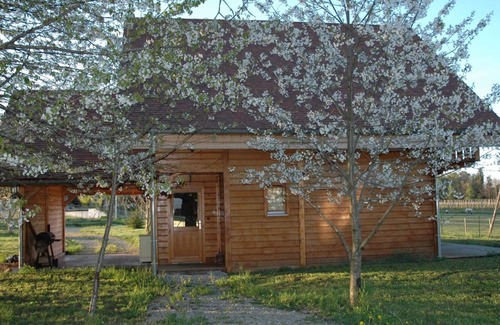Louchy-Montfand Cabaña | Chalet con terraza, piscina y actividades en el corazón del viñedo de St Pourçain