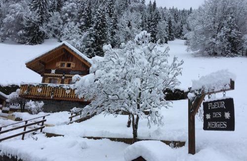 Saint-Jean-dʼAulps Chalet De Esquí | Chalet Fleur des Neiges