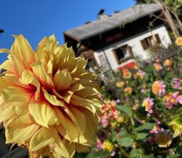 Dorfgastein Casa | Chalet Franzi - gleich an der Piste im Gasteinertal