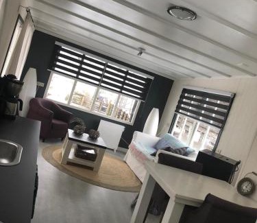 Jipsinghuizen Casa | Chalet Het Wollinghuisje