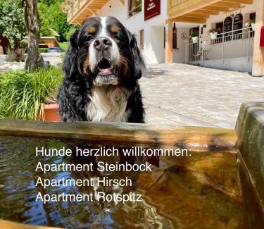 Bad Hindelang Apartamento | Chalet Hirschbach