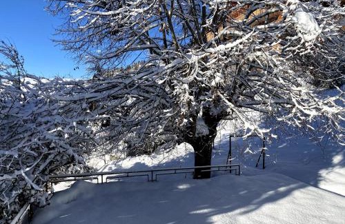 Ollon Chalet De Esquí | Chalet in Villars-sur-Ollon