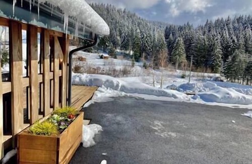 Gerardmer Chalet De Esquí | Chalet en Gerardmer con spa