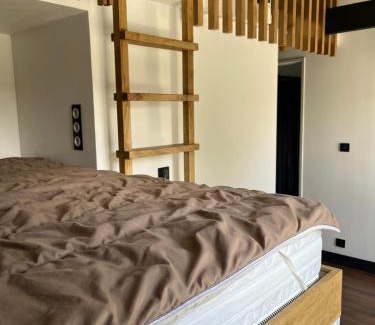 Sanguinet Chalet De Esquí | Chalet Landais